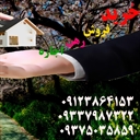 Amlak kazemi